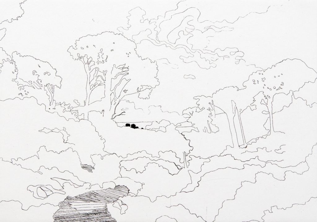 Forest Line